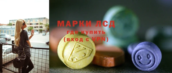 хмурый Алзамай