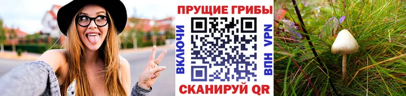 OMG ONION  Туринск  Галлюциногенные грибы Magic Shrooms  как найти закладки 