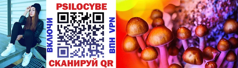 Псилоцибиновые грибы прущие грибы Туринск